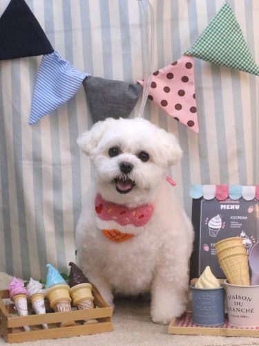 20250530ランちゃん